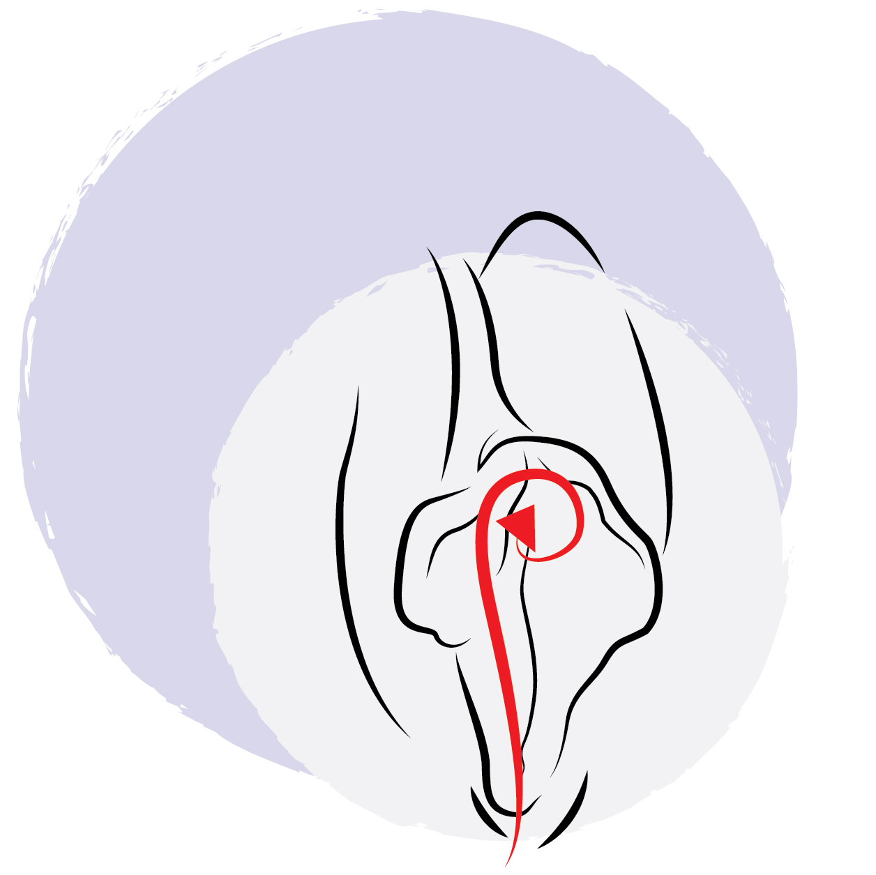 Lickjob Technik - die Klitoris beim Oralsex stimulieren